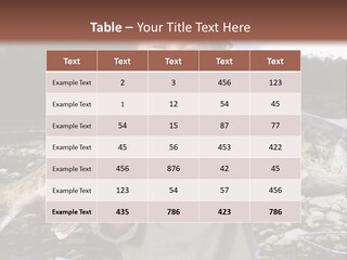 Salmon Smile Summer PowerPoint Template