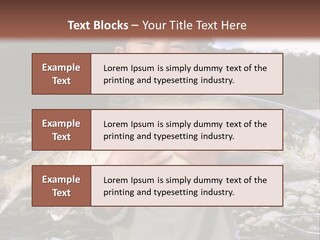 Salmon Smile Summer PowerPoint Template