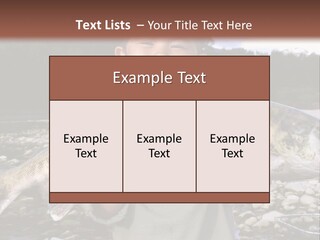 Salmon Smile Summer PowerPoint Template