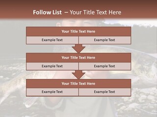 Salmon Smile Summer PowerPoint Template