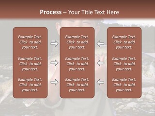 Salmon Smile Summer PowerPoint Template