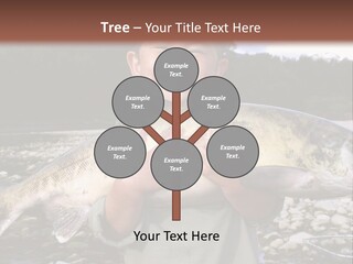 Salmon Smile Summer PowerPoint Template