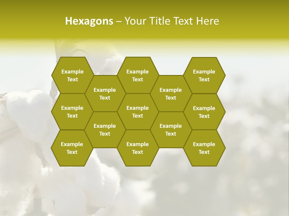 Agriculture Softness Grow PowerPoint Template