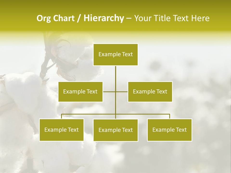 Agriculture Softness Grow PowerPoint Template