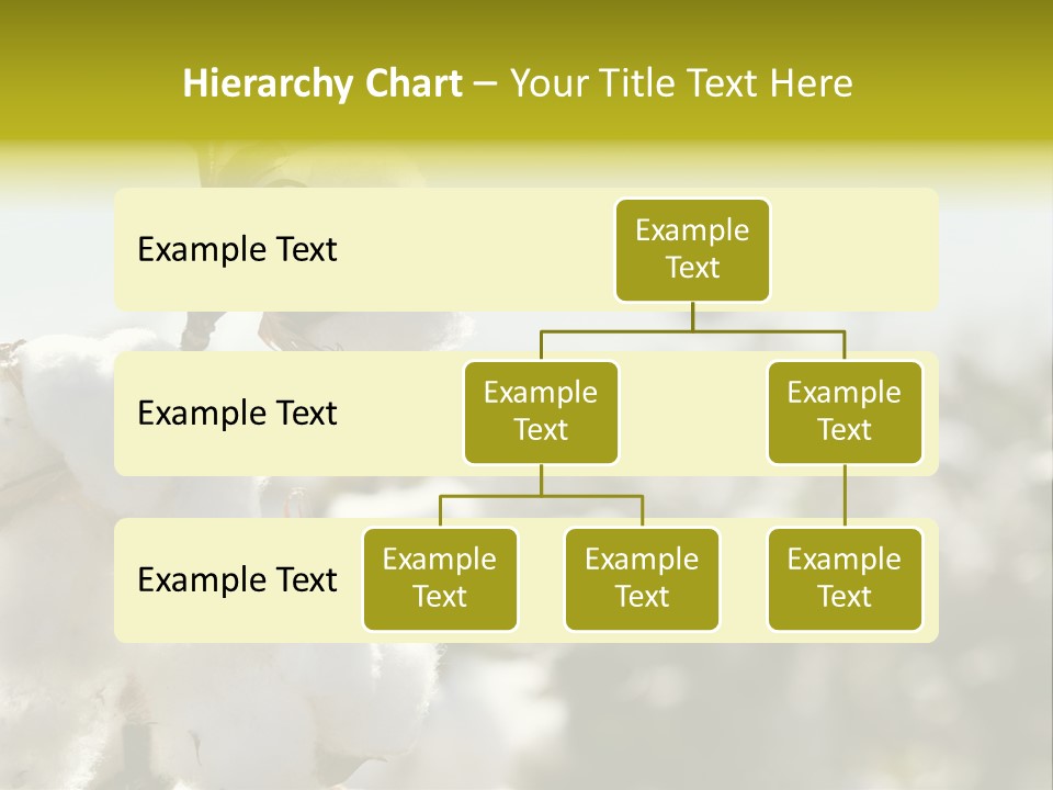Agriculture Softness Grow PowerPoint Template
