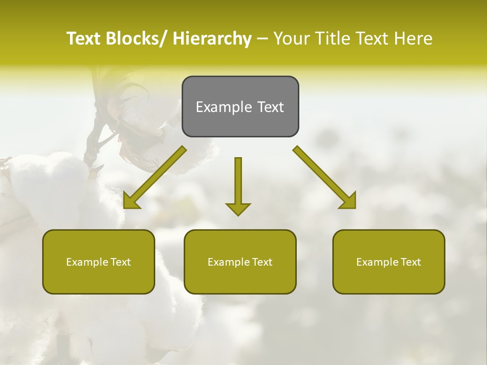 Agriculture Softness Grow PowerPoint Template