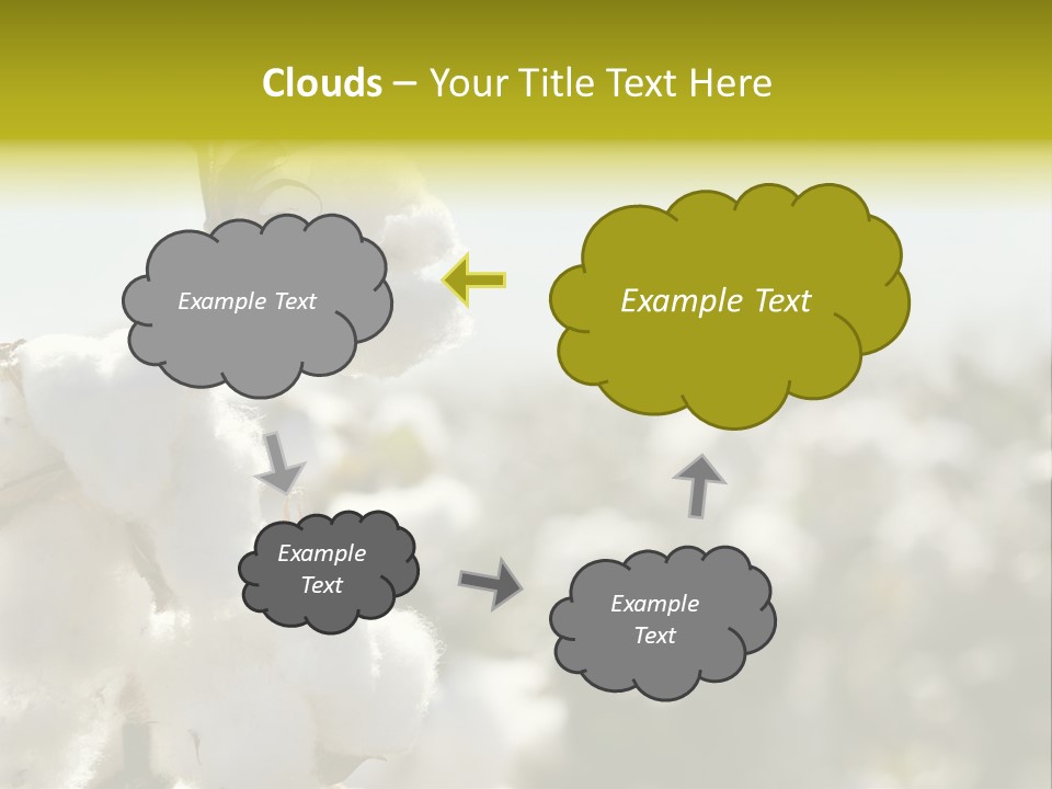 Agriculture Softness Grow PowerPoint Template