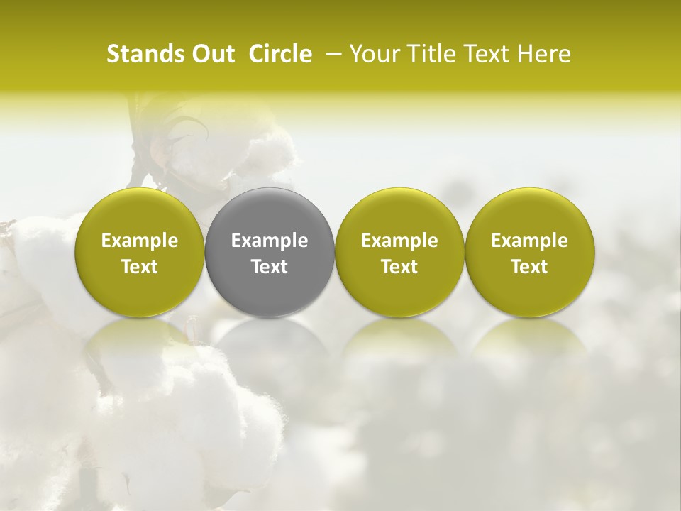 Agriculture Softness Grow PowerPoint Template