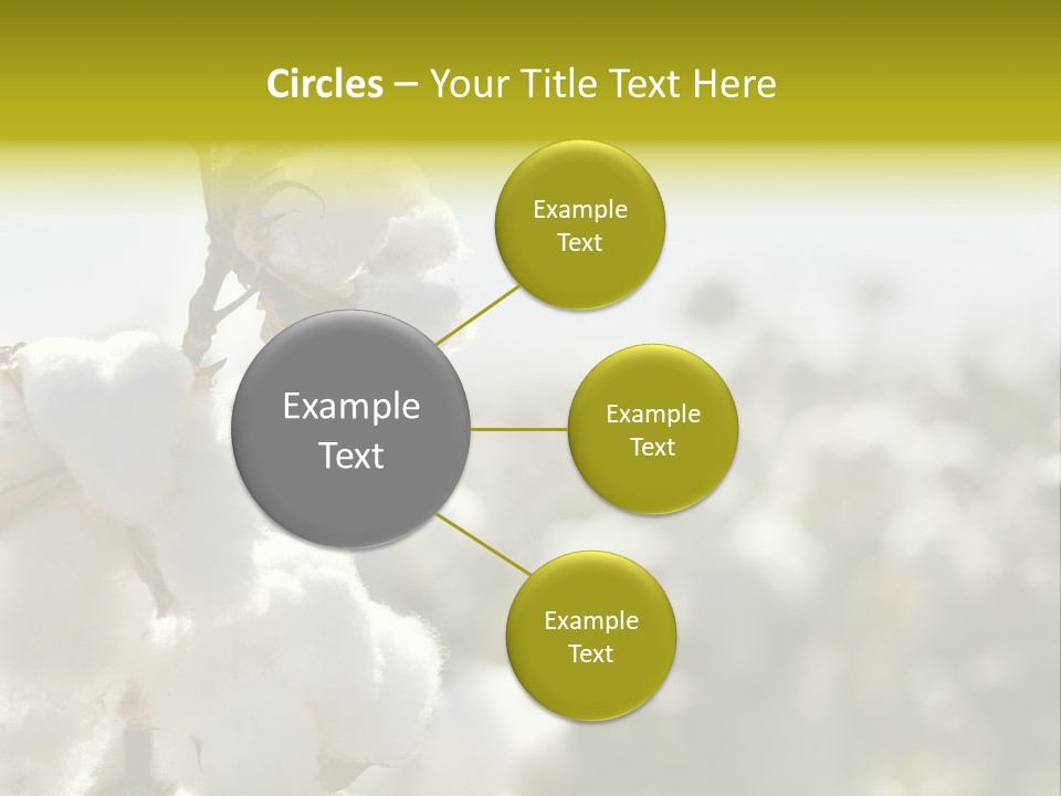 Agriculture Softness Grow PowerPoint Template