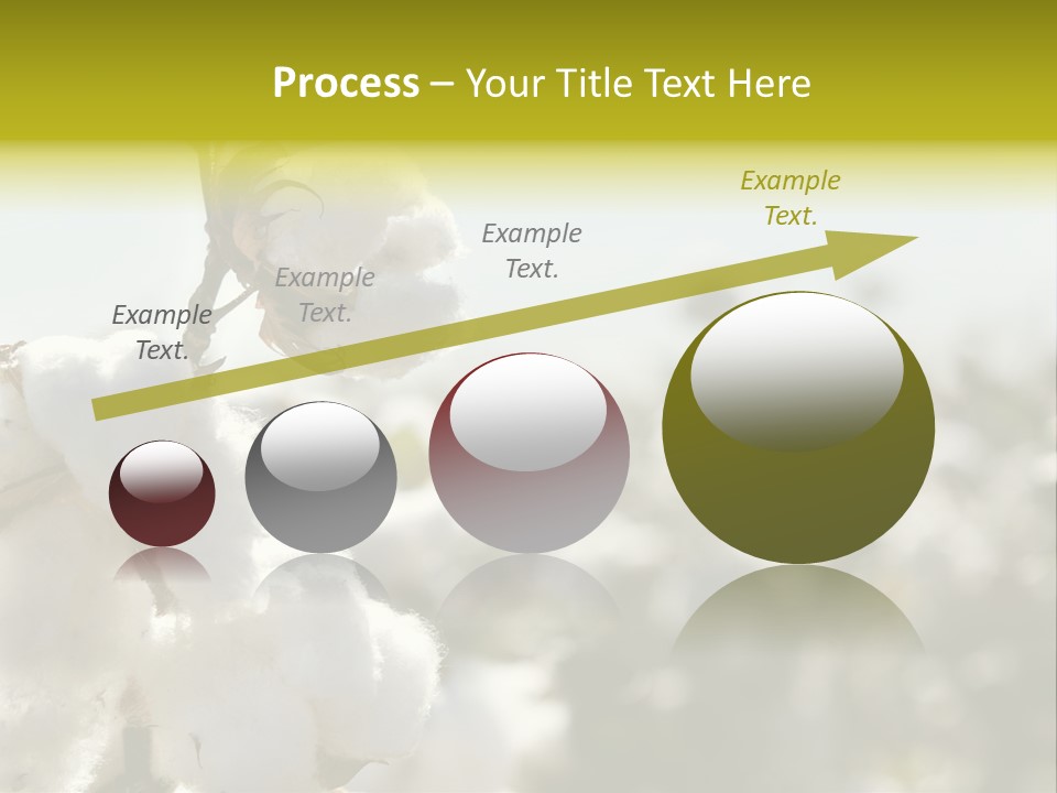 Agriculture Softness Grow PowerPoint Template
