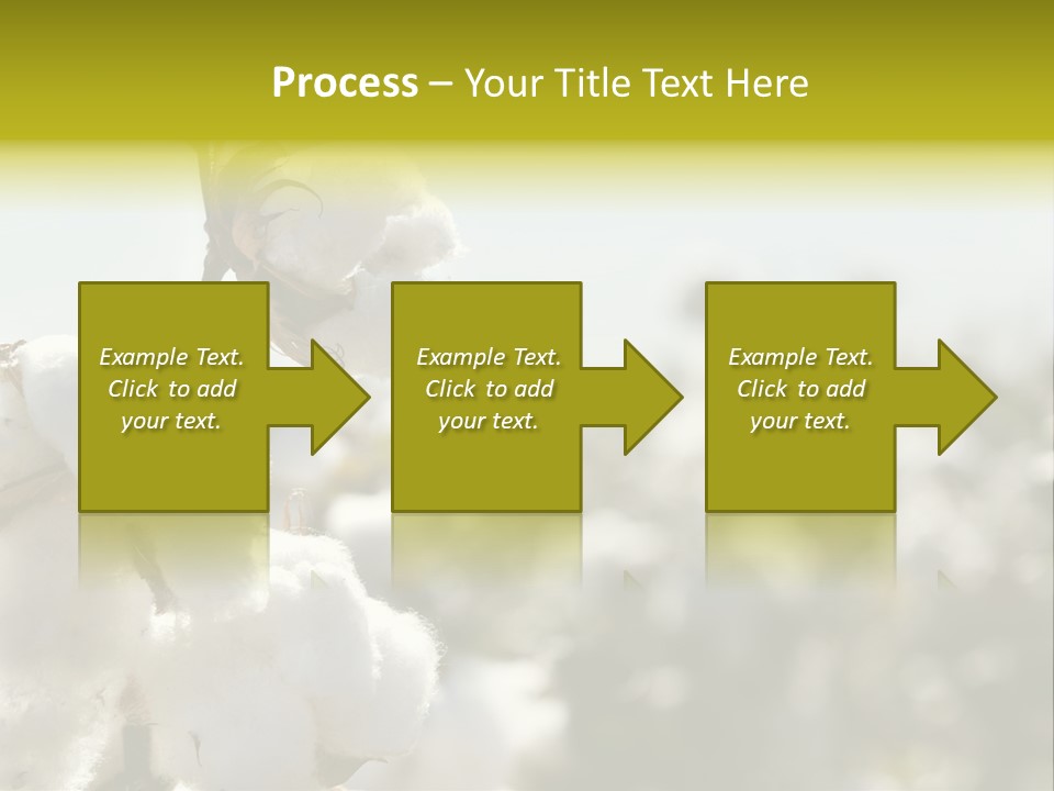Agriculture Softness Grow PowerPoint Template