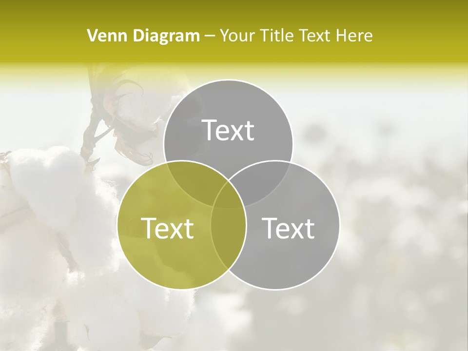 Agriculture Softness Grow PowerPoint Template