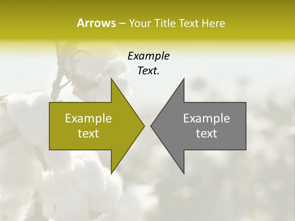 Agriculture Softness Grow PowerPoint Template