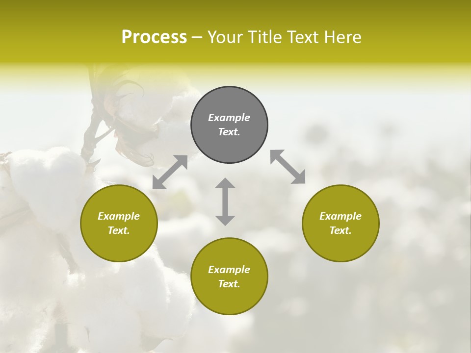 Agriculture Softness Grow PowerPoint Template