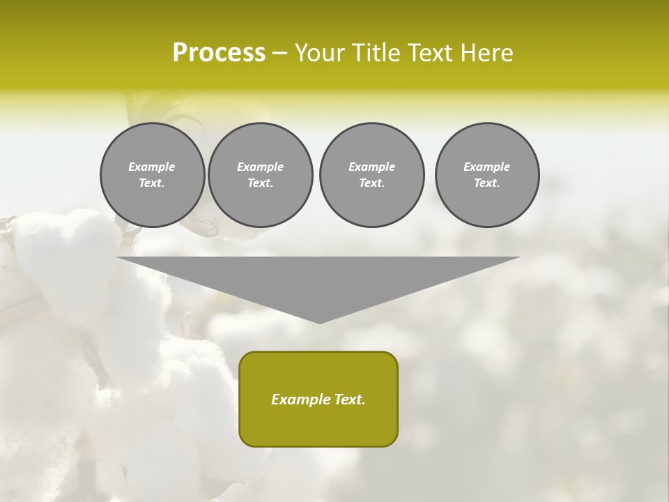 Agriculture Softness Grow PowerPoint Template