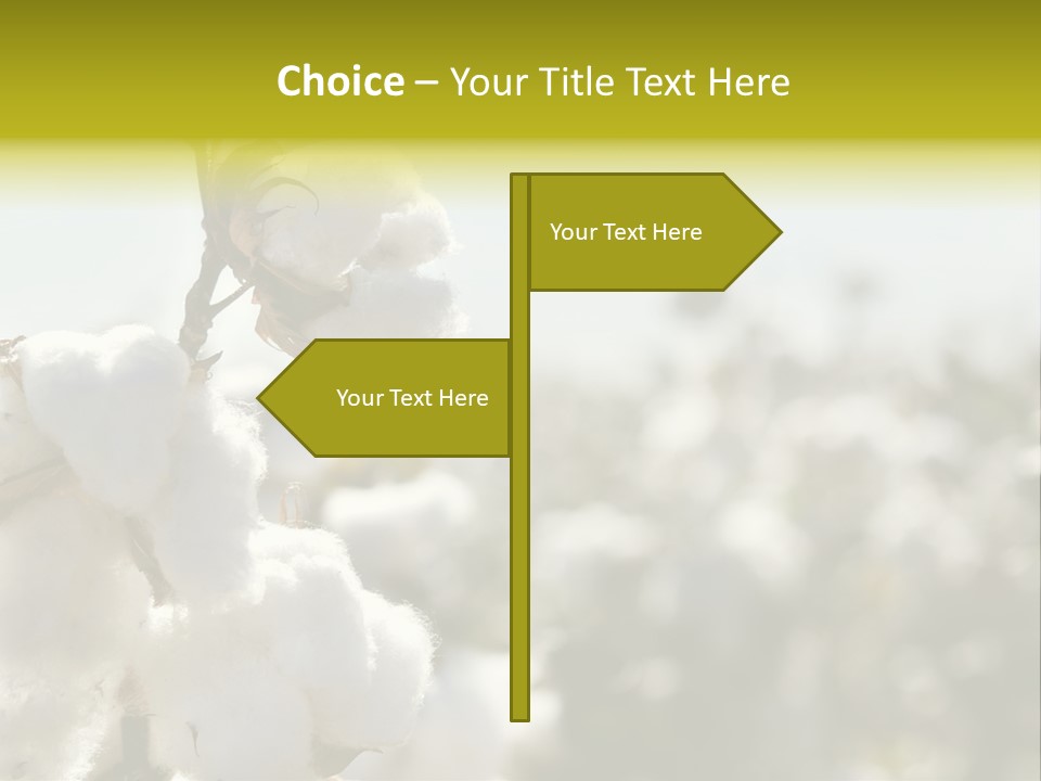 Agriculture Softness Grow PowerPoint Template