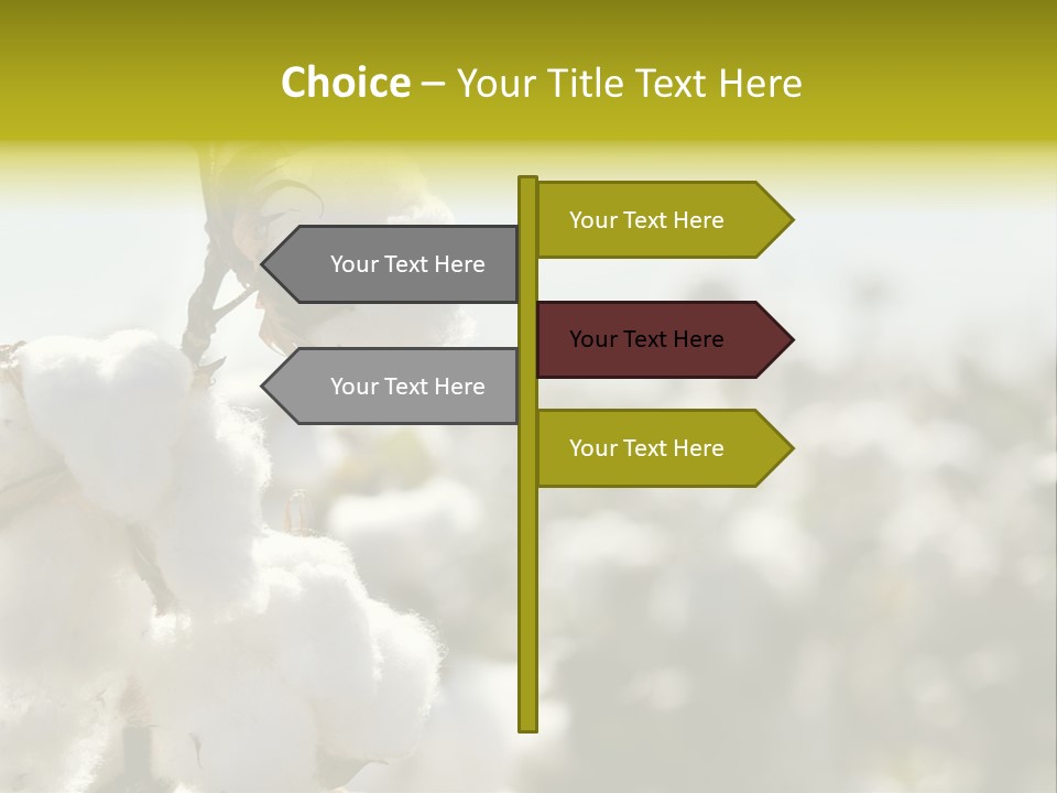 Agriculture Softness Grow PowerPoint Template