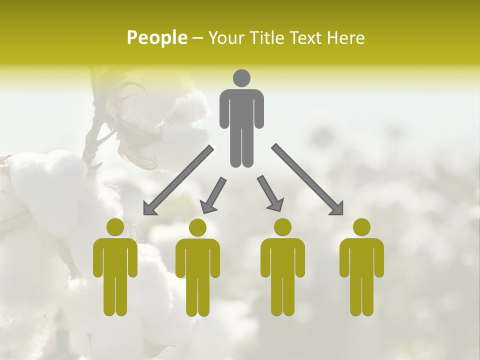 Agriculture Softness Grow PowerPoint Template