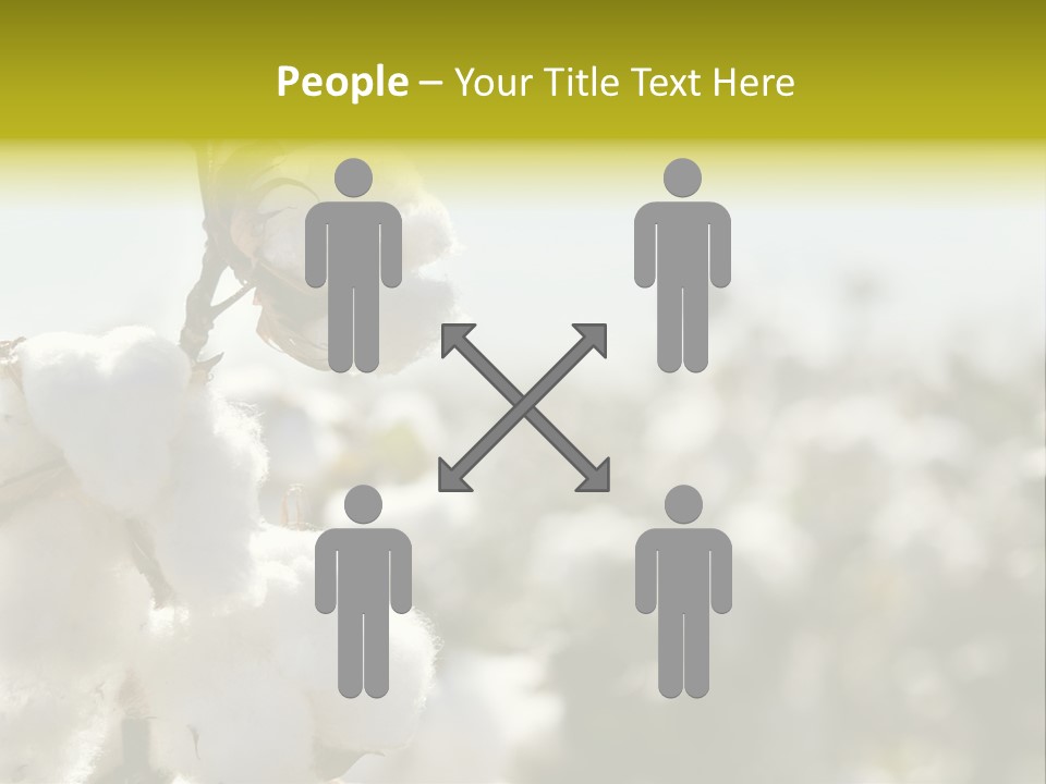 Agriculture Softness Grow PowerPoint Template