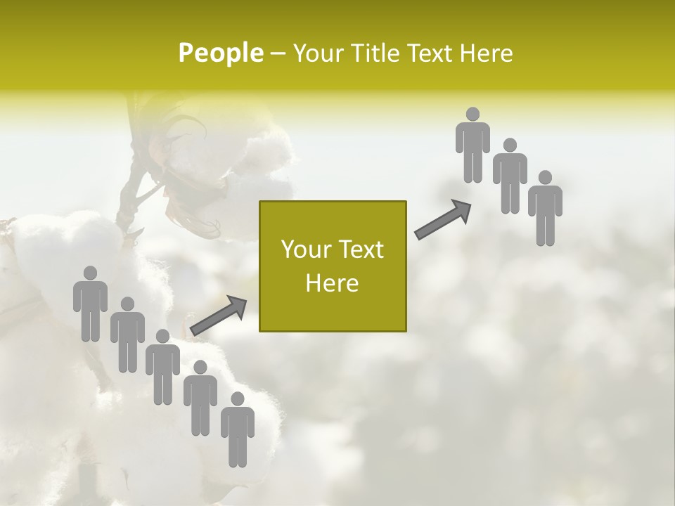 Agriculture Softness Grow PowerPoint Template