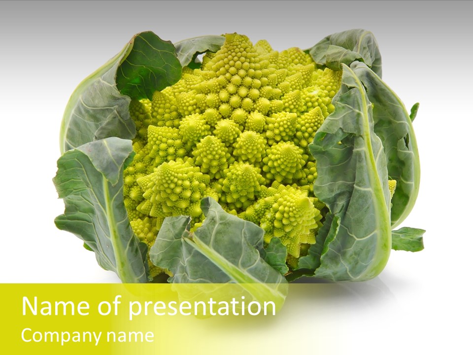 Nature Healthy Macro PowerPoint Template
