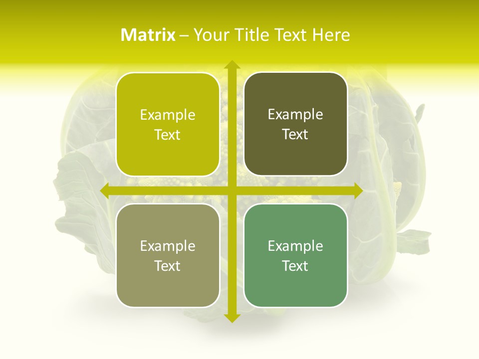 Nature Healthy Macro PowerPoint Template