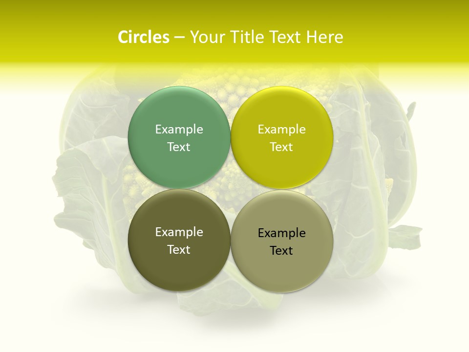 Nature Healthy Macro PowerPoint Template