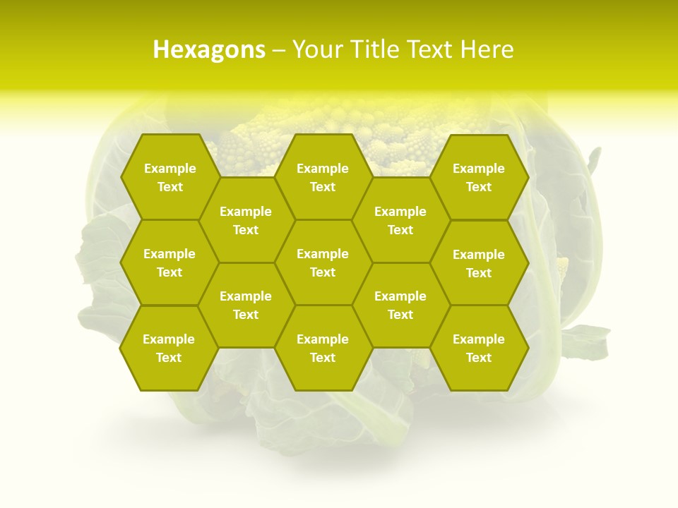 Nature Healthy Macro PowerPoint Template