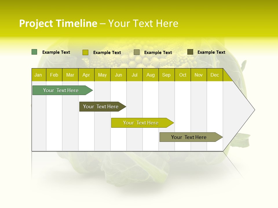 Nature Healthy Macro PowerPoint Template