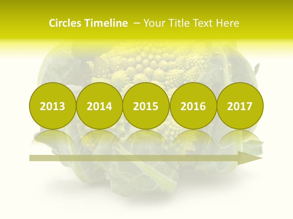 Nature Healthy Macro PowerPoint Template