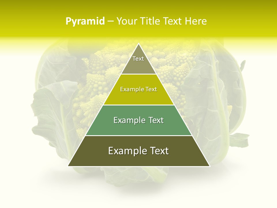 Nature Healthy Macro PowerPoint Template