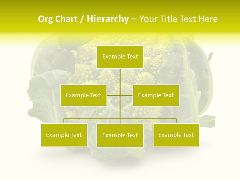 Nature Healthy Macro PowerPoint Template
