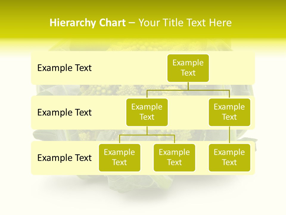 Nature Healthy Macro PowerPoint Template