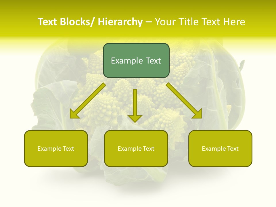 Nature Healthy Macro PowerPoint Template