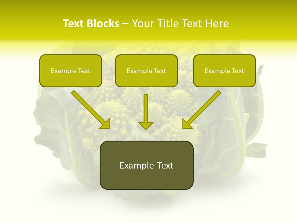Nature Healthy Macro PowerPoint Template