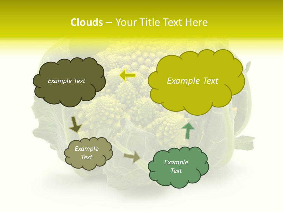Nature Healthy Macro PowerPoint Template