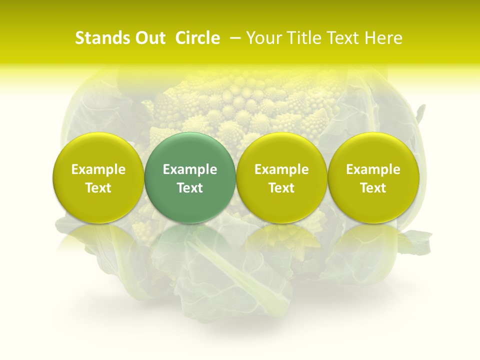 Nature Healthy Macro PowerPoint Template
