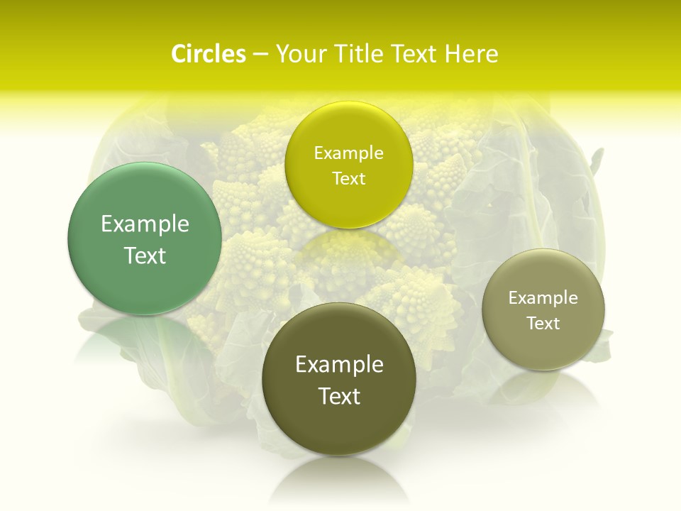 Nature Healthy Macro PowerPoint Template