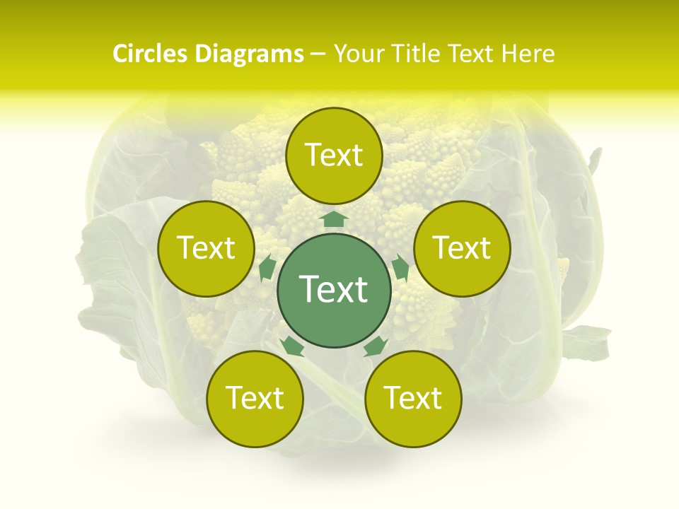 Nature Healthy Macro PowerPoint Template