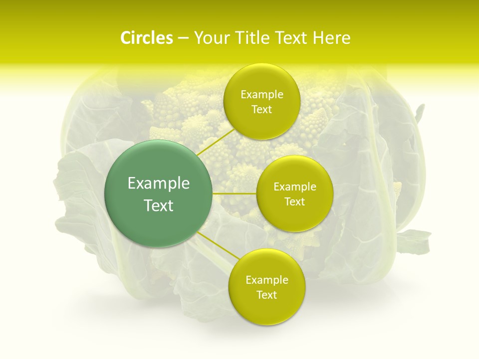 Nature Healthy Macro PowerPoint Template