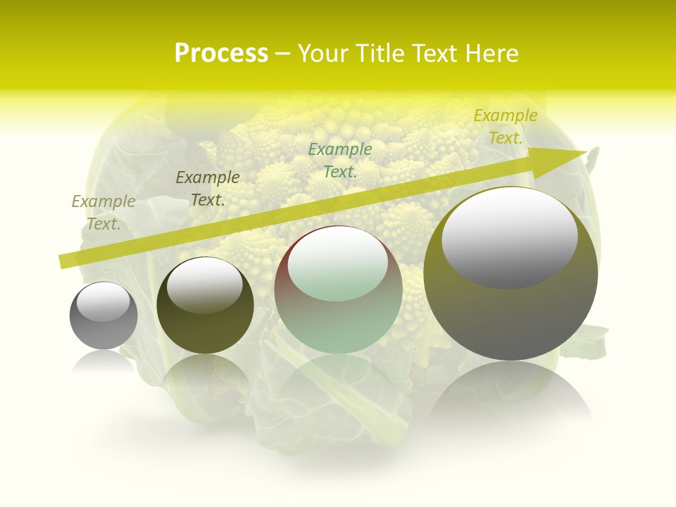 Nature Healthy Macro PowerPoint Template