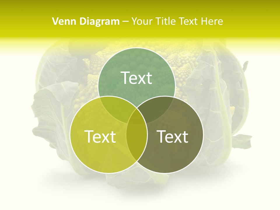 Nature Healthy Macro PowerPoint Template