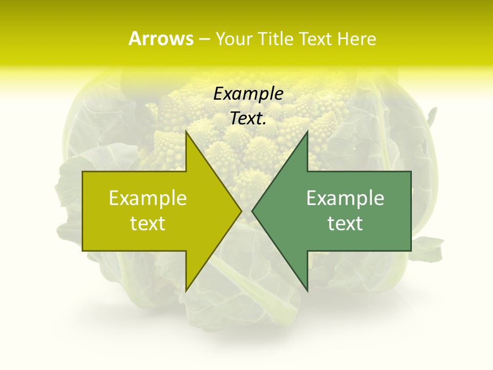 Nature Healthy Macro PowerPoint Template