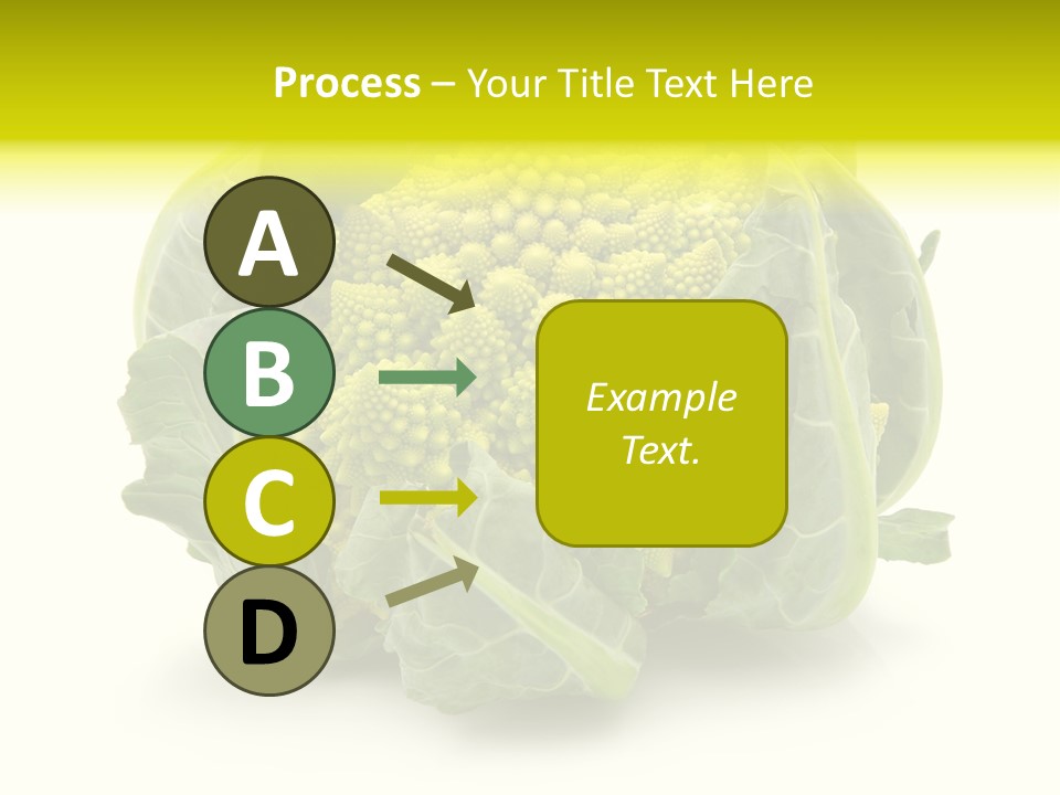 Nature Healthy Macro PowerPoint Template