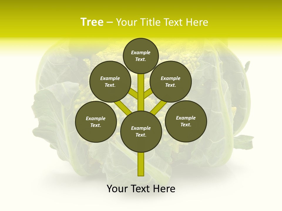 Nature Healthy Macro PowerPoint Template