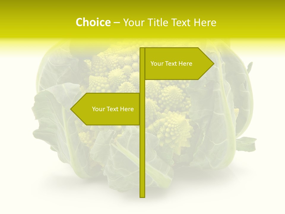 Nature Healthy Macro PowerPoint Template