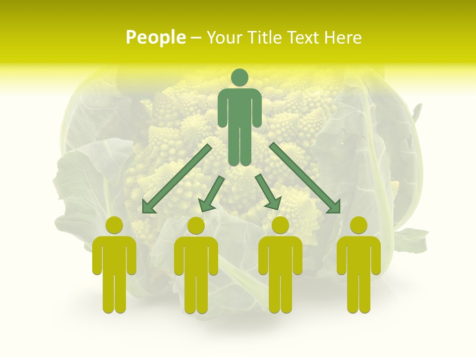 Nature Healthy Macro PowerPoint Template