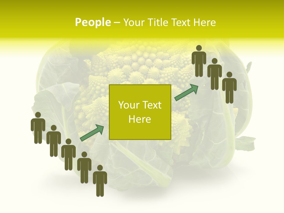 Nature Healthy Macro PowerPoint Template