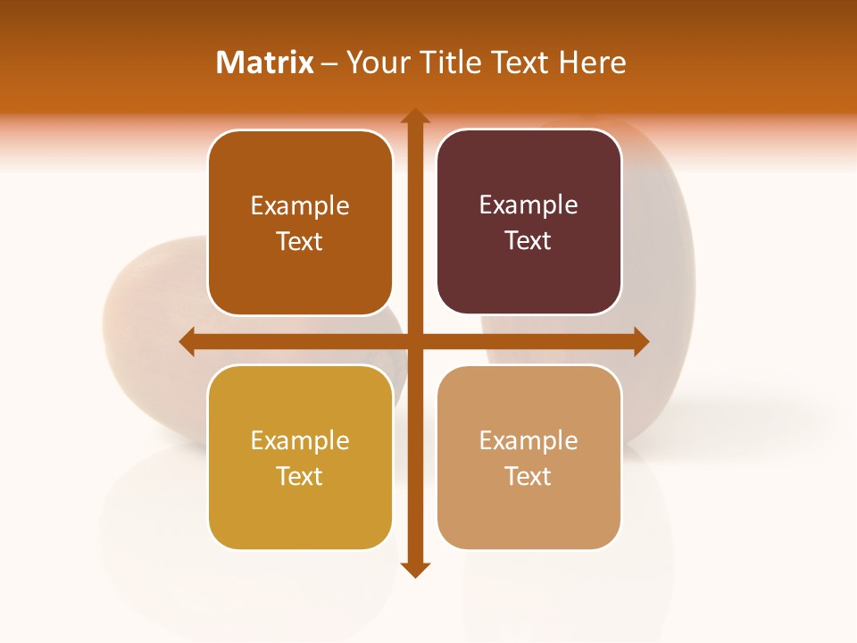 Shell September Nut PowerPoint Template