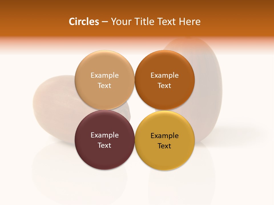Shell September Nut PowerPoint Template